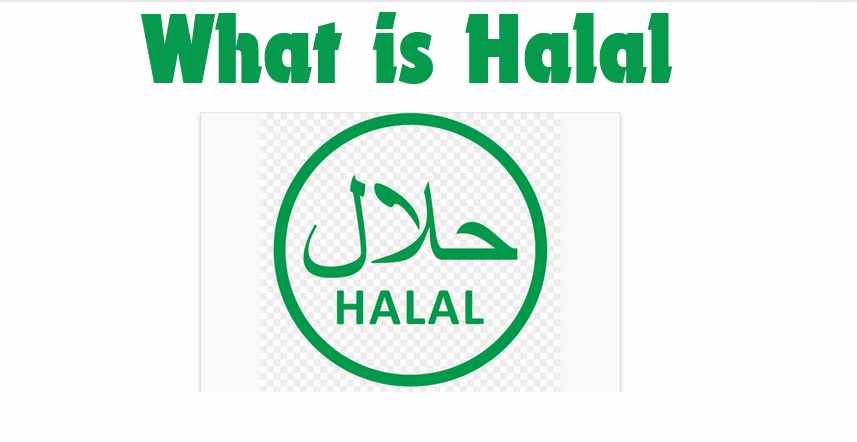 What is Halal Food